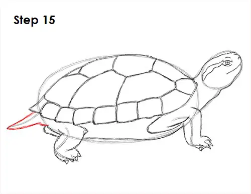 Turtle Drawing 15 Draw Turtle 15