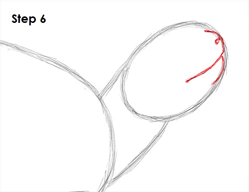 Turtle Drawing 6 Draw Turtle 6