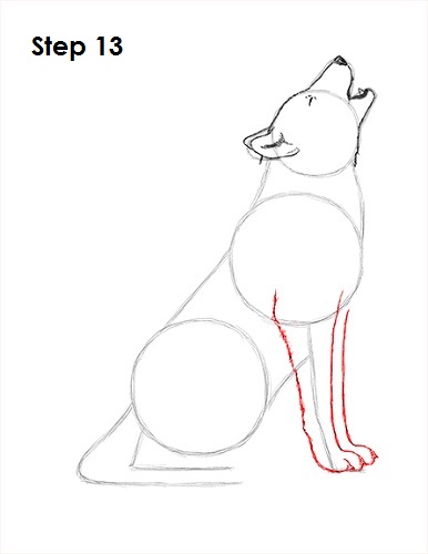 Howling Wolf 13 Draw Wolf Howling 13