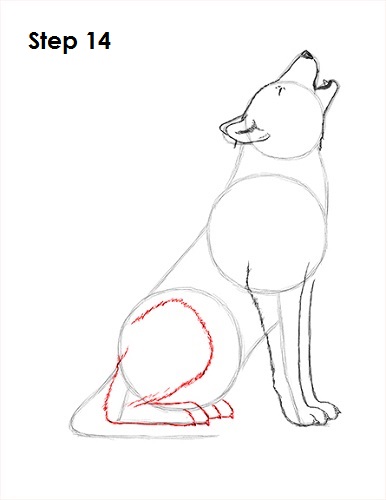 Howling Wolf 14 Draw Wolf Howling 14