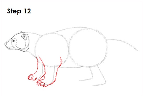 Wolverine 12 Draw Wolverine 12