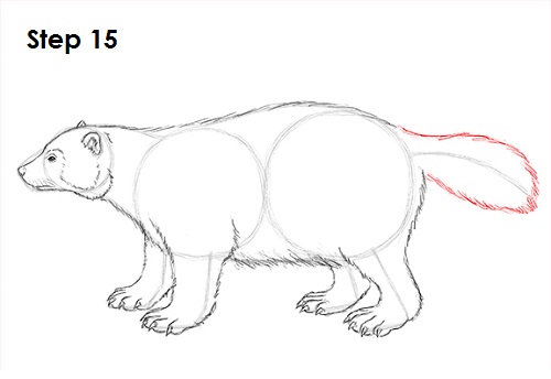 How to Draw a Wolverine