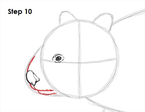 Wombat 10 Draw Wombat 10