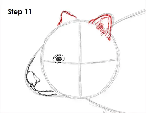 Wombat 11 Draw Wombat 11