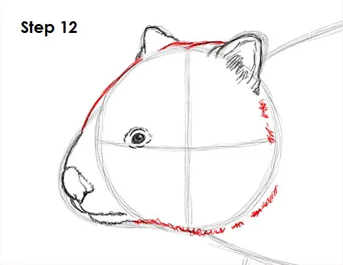Wombat 12 Draw Wombat 12