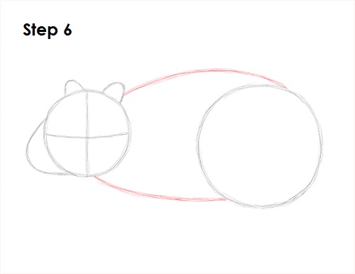 Wombat 6 Draw Wombat 6