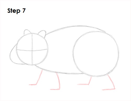 Wombat 7 Draw Wombat 7