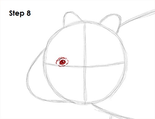Wombat 8 Draw Wombat 8