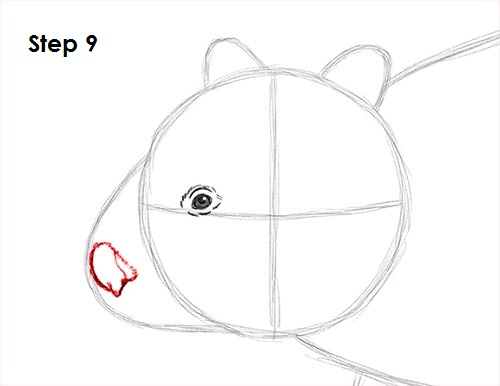 Wombat 9 Draw Wombat 9