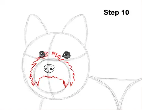 how to draw a yorkie puppy how to draw a terrier how to draw a yorkie puppy how to draw a terrier