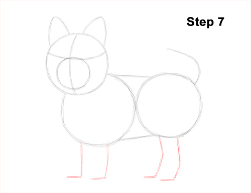 how to draw a yorkie puppy how to draw a terrier how to draw a yorkie puppy how to draw a terrier