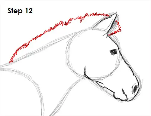 Zebra Drawing 12 Draw Zebra 12