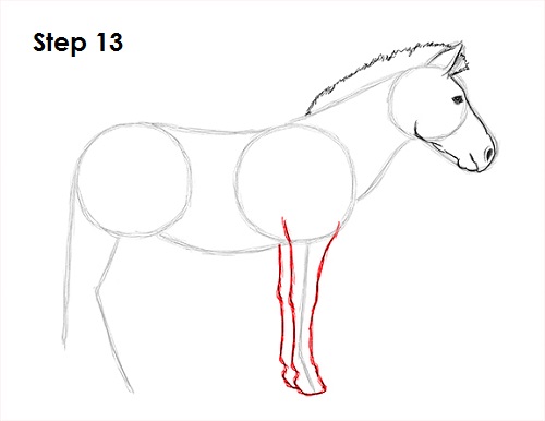 Zebra Drawing 13 Draw Zebra 13