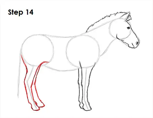Zebra Drawing 14 Draw Zebra 14