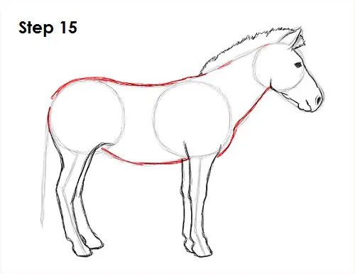 Zebra Drawing 15 Draw Zebra 15