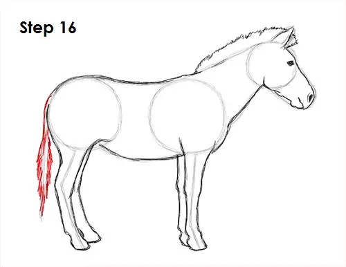 Zebra Drawing 16 Draw Zebra 16