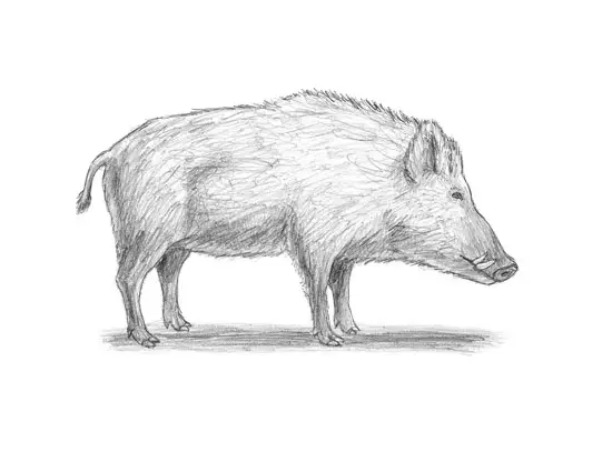 home drawing pic