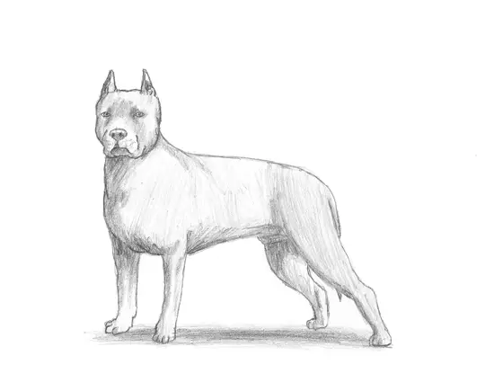how to a pitbull puppy how to draw a pit bull how to a pitbull puppy how to draw a pit bull