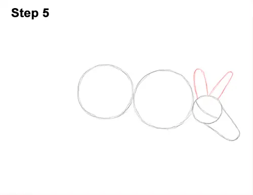 How to Draw an Aardvark Anteater Walking 5