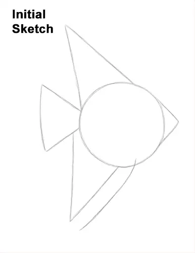 How to Draw an Altum Angelfish Blue Zebra Fish Guides Lines