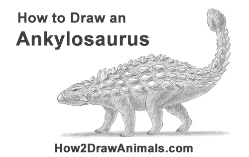 How To Draw An Ankylosaurus 
