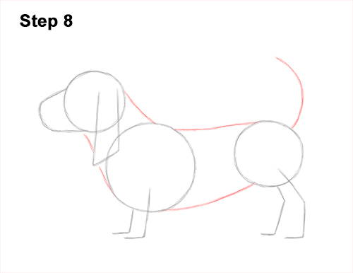 How to Draw a Basset Hound Puppy Dog Side View 8