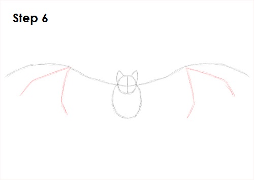 Draw Vampire Bat 6