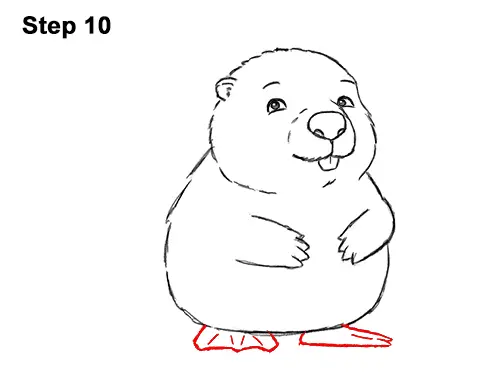 How to Draw Cute Cartoon Beaver 10
