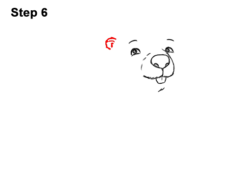 How to Draw Cute Cartoon Beaver 6