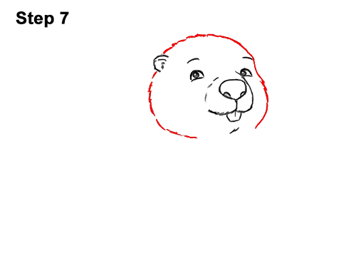 How to Draw Cute Cartoon Beaver 7