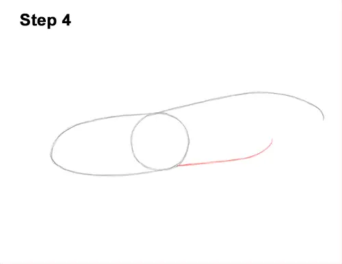 How to Draw a Hercules Rhino Beetle Bug 4