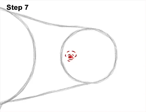 How to Draw a Beluga Whale VIDEO & Step-by-Step Pictures