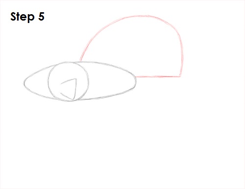 Draw Betta Fish 5