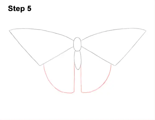 How to Draw a Yellow Eastern Tiger Swallowtail Butterfly 5