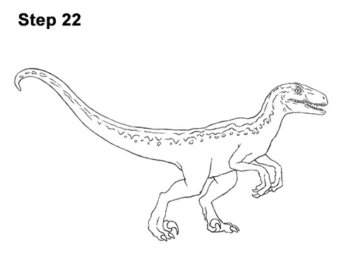 velociraptor colouring in