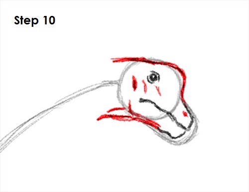 Brachiosaurus Dinosaur 10 Draw Brachiosaurus 10
