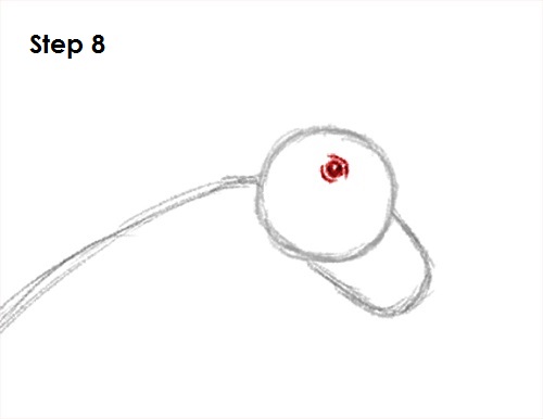 Brachiosaurus Dinosaur 8 Draw Brachiosaurus 8
