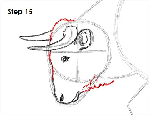 Bull Drawing 15 Draw Bull 15