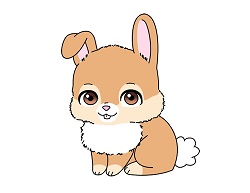 How to Draw a Bunny Rabbit Cartoon