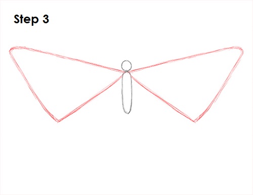 Butterfly Drawing 3 Draw Butterfly 3