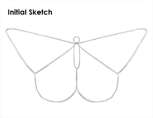 Draw Butterfly Sketch