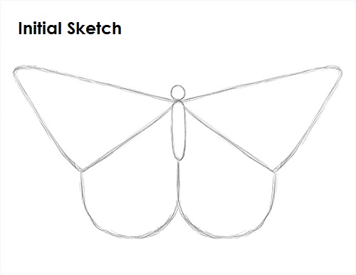 Butterfly Drawing Sketch Draw Butterfly Sketch