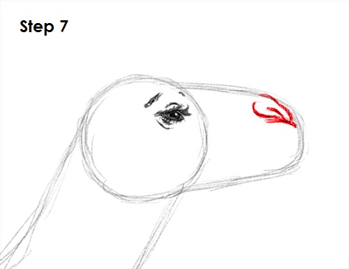 Camel Drawing 7 Draw Camel 7