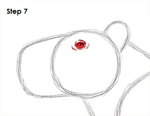 Draw Capybara 7