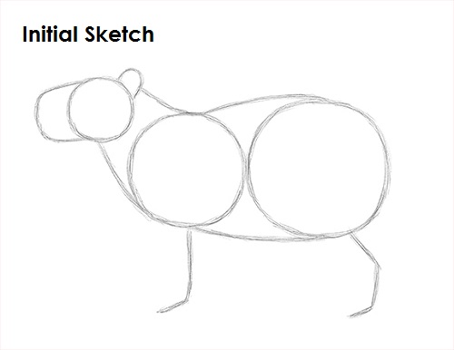 Draw Capybara Sketch