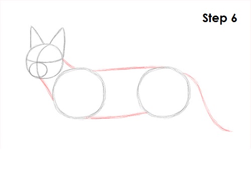 Caracal Drawing 6 Draw Caracal 6