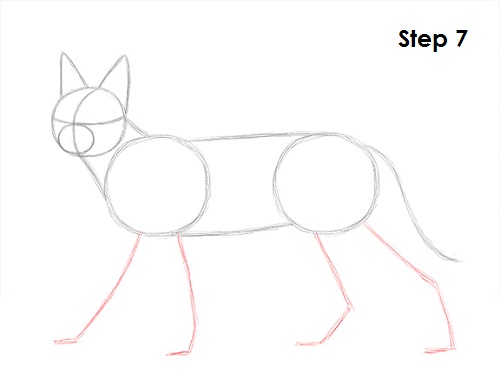 Caracal Drawing 7 Draw Caracal 7