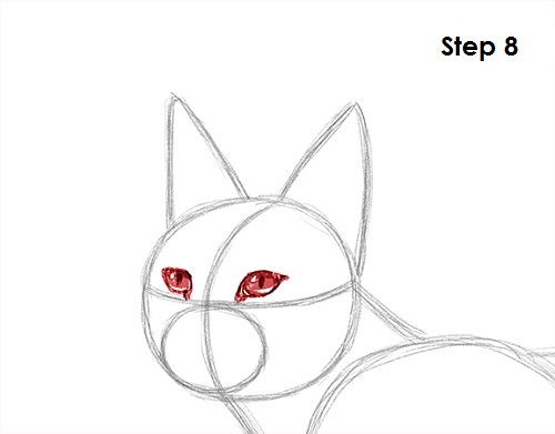 Caracal Drawing 8 Draw Caracal 8