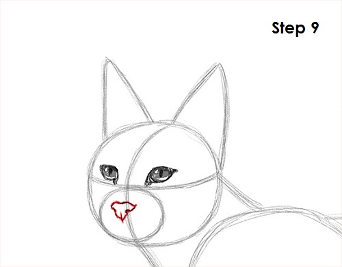 Caracal Drawing 9 Draw Caracal 9