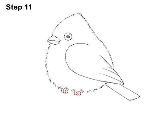 How to Draw Cute Little Cartoon Red Cardinal Snow Berries 11